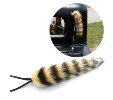Raccoon Tail