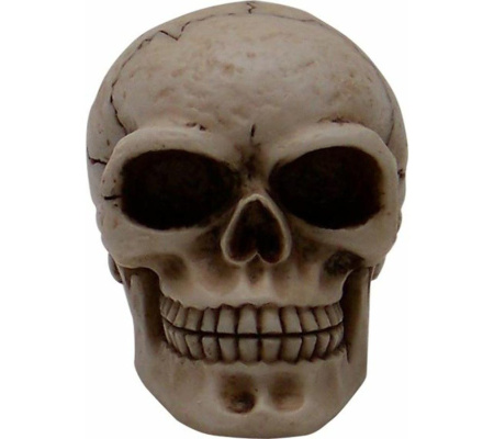 Sammy Skull Custom Shift Knob and Topper