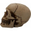 Skull with Red Eyes Topper