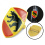 VW Coat of Arms of Bern Hood Badge Crest