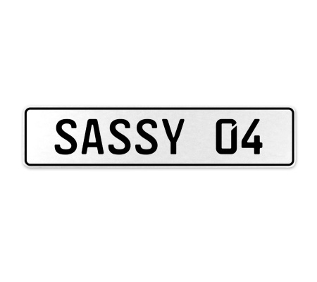 SASSY 04  - White Aluminum Street Sign Mancave Euro Plate Name Door Sign Wall