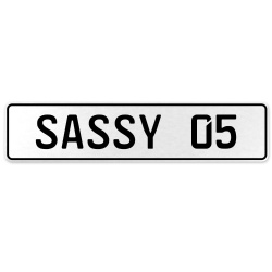SASSY 05  - White Aluminum Street Sign Mancave Euro Plate Name Door Sign Wall