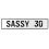 SASSY 30  - White Aluminum Street Sign Mancave Euro Plate Name Door Sign Wall