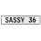 SASSY 36  - White Aluminum Street Sign Mancave Euro Plate Name Door Sign Wall
