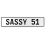 SASSY 51  - White Aluminum Street Sign Mancave Euro Plate Name Door Sign Wall