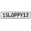 1SLOPPY13  - White Aluminum Street Sign Mancave Euro Plate Name Door Sign Wall