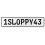 1SLOPPY43  - White Aluminum Street Sign Mancave Euro Plate Name Door Sign Wall