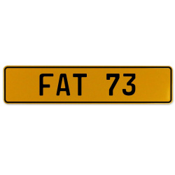 FAT 73  - Yellow Aluminum Street Sign Mancave Euro Plate Name Door Sign Wall