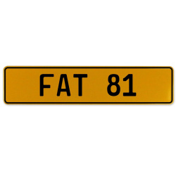 FAT 81  - Yellow Aluminum Street Sign Mancave Euro Plate Name Door Sign Wall