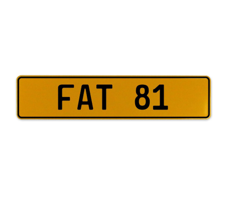 FAT 81  - Yellow Aluminum Street Sign Mancave Euro Plate Name Door Sign Wall