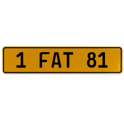 1 FAT 81  - Yellow Aluminum Street Sign Mancave Euro Plate Name Door Sign Wall