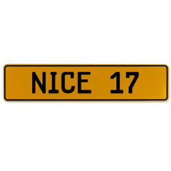 NICE 17  - Yellow Aluminum Street Sign Mancave Euro Plate Name Door Sign Wall