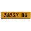 SASSY 04  - Yellow Aluminum Street Sign Mancave Euro Plate Name Door Sign Wall