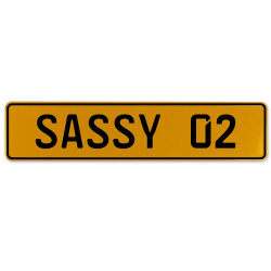 SASSY 02  - Yellow Aluminum Street Sign Mancave Euro Plate Name Door Sign Wall