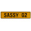 SASSY 02  - Yellow Aluminum Street Sign Mancave Euro Plate Name Door Sign Wall