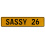 SASSY 26  - Yellow Aluminum Street Sign Mancave Euro Plate Name Door Sign Wall