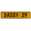 SASSY 29  - Yellow Aluminum Street Sign Mancave Euro Plate Name Door Sign Wall