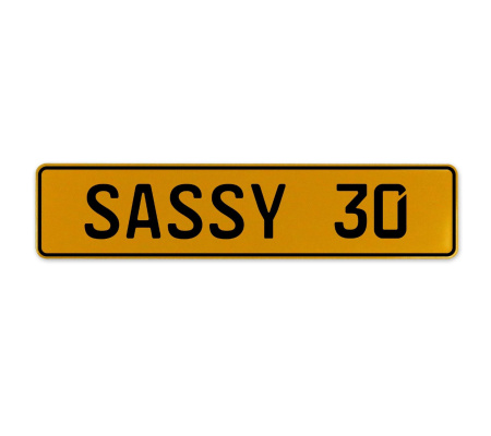 SASSY 30  - Yellow Aluminum Street Sign Mancave Euro Plate Name Door Sign Wall