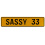 SASSY 33  - Yellow Aluminum Street Sign Mancave Euro Plate Name Door Sign Wall