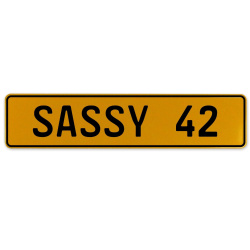 SASSY 42  - Yellow Aluminum Street Sign Mancave Euro Plate Name Door Sign Wall