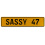 SASSY 47  - Yellow Aluminum Street Sign Mancave Euro Plate Name Door Sign Wall