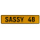SASSY 48  - Yellow Aluminum Street Sign Mancave Euro Plate Name Door Sign Wall