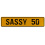 SASSY 50  - Yellow Aluminum Street Sign Mancave Euro Plate Name Door Sign Wall