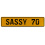 SASSY 70  - Yellow Aluminum Street Sign Mancave Euro Plate Name Door Sign Wall