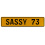 SASSY 73  - Yellow Aluminum Street Sign Mancave Euro Plate Name Door Sign Wall