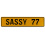 SASSY 77  - Yellow Aluminum Street Sign Mancave Euro Plate Name Door Sign Wall