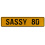 SASSY 80  - Yellow Aluminum Street Sign Mancave Euro Plate Name Door Sign Wall