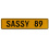 SASSY 89  - Yellow Aluminum Street Sign Mancave Euro Plate Name Door Sign Wall