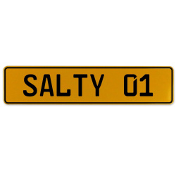 SALTY 01  - Yellow Aluminum Street Sign Mancave Euro Plate Name Door Sign Wall