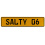 SALTY 06  - Yellow Aluminum Street Sign Mancave Euro Plate Name Door Sign Wall