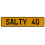 SALTY 40  - Yellow Aluminum Street Sign Mancave Euro Plate Name Door Sign Wall
