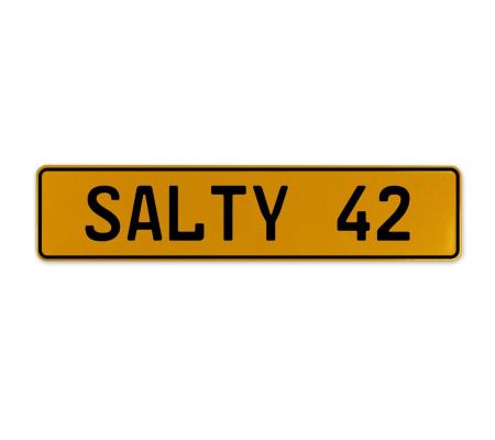SALTY 42  - Yellow Aluminum Street Sign Mancave Euro Plate Name Door Sign Wall