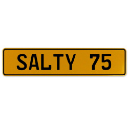 SALTY 75  - Yellow Aluminum Street Sign Mancave Euro Plate Name Door Sign Wall