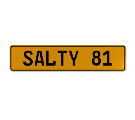 SALTY 81  - Yellow Aluminum Street Sign Mancave Euro Plate Name Door Sign Wall