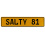 SALTY 81  - Yellow Aluminum Street Sign Mancave Euro Plate Name Door Sign Wall